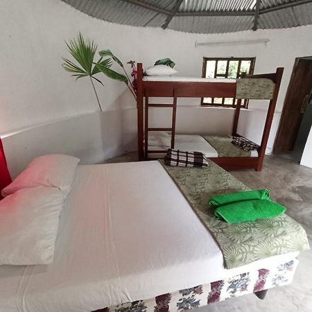 Guest House Great Hostels Amazon Puyo Exteriör bild