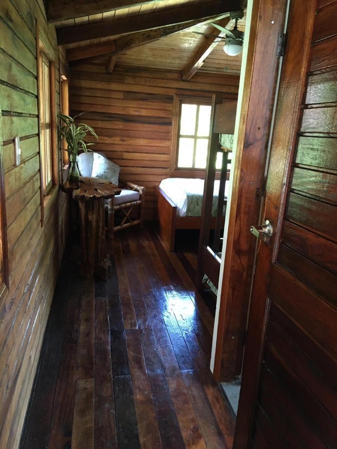 Guest House Great Hostels Amazon Puyo Exteriör bild