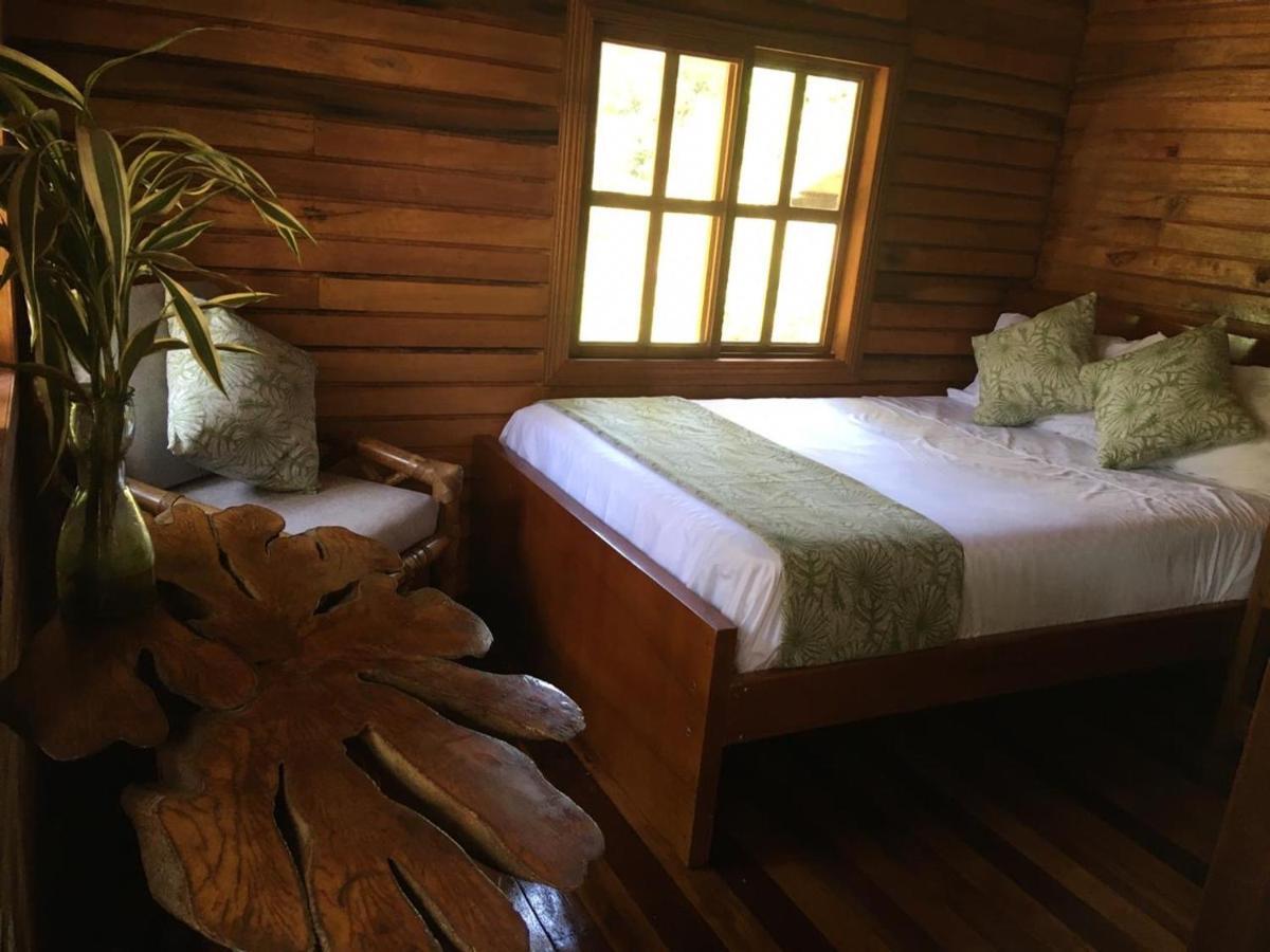Guest House Great Hostels Amazon Puyo Exteriör bild
